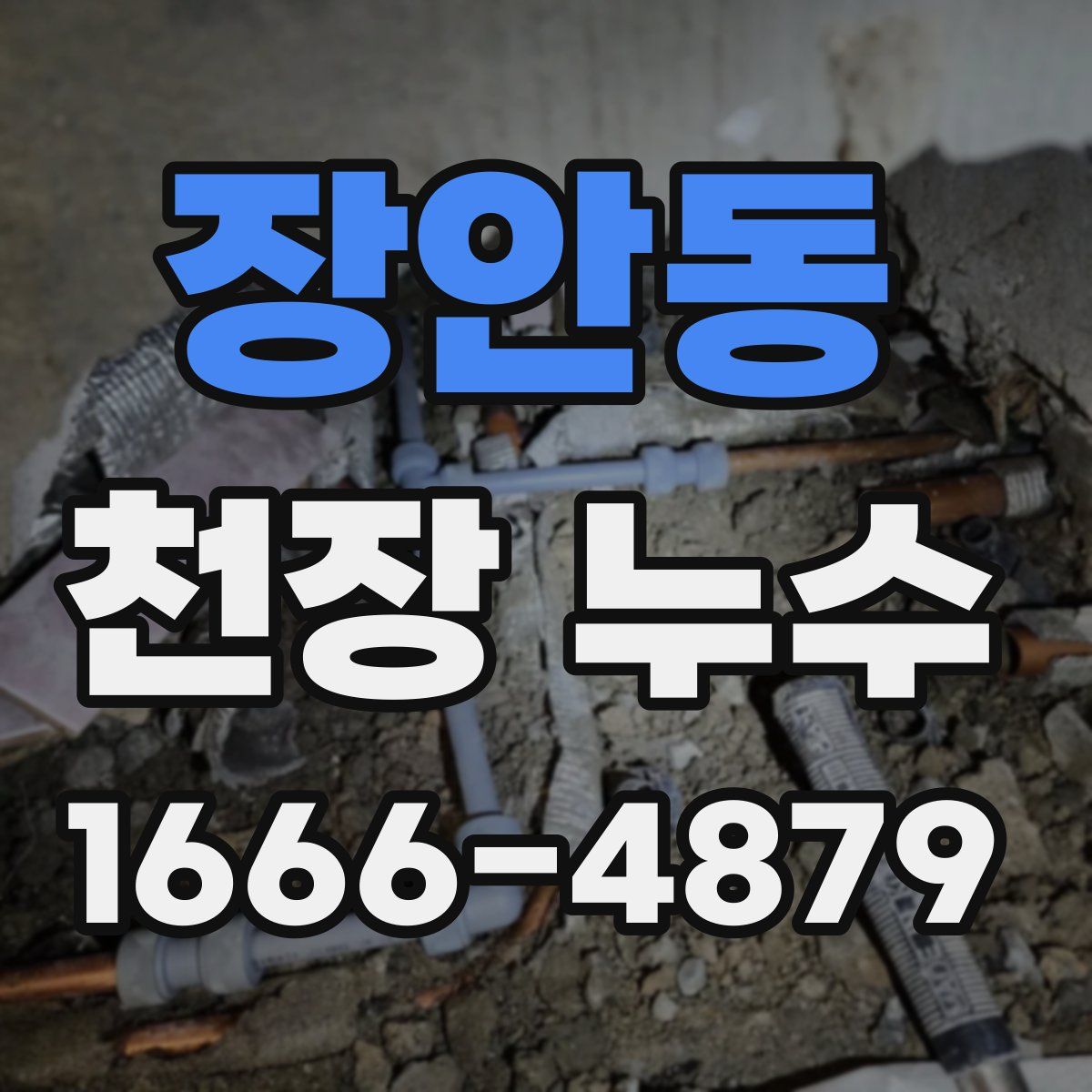 장안동 천장 누수