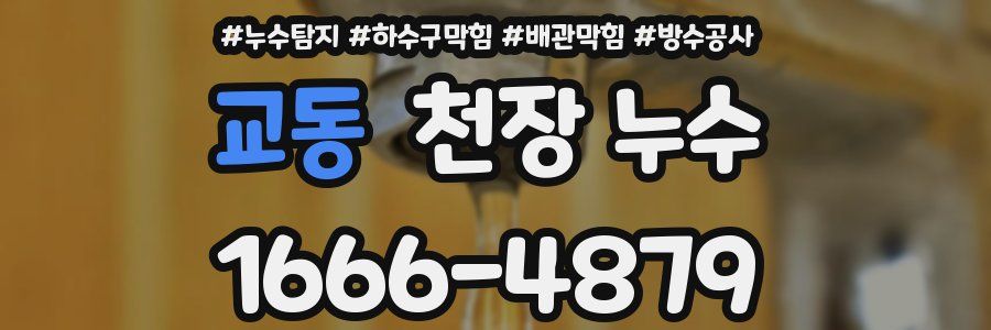 교동 천장 누수