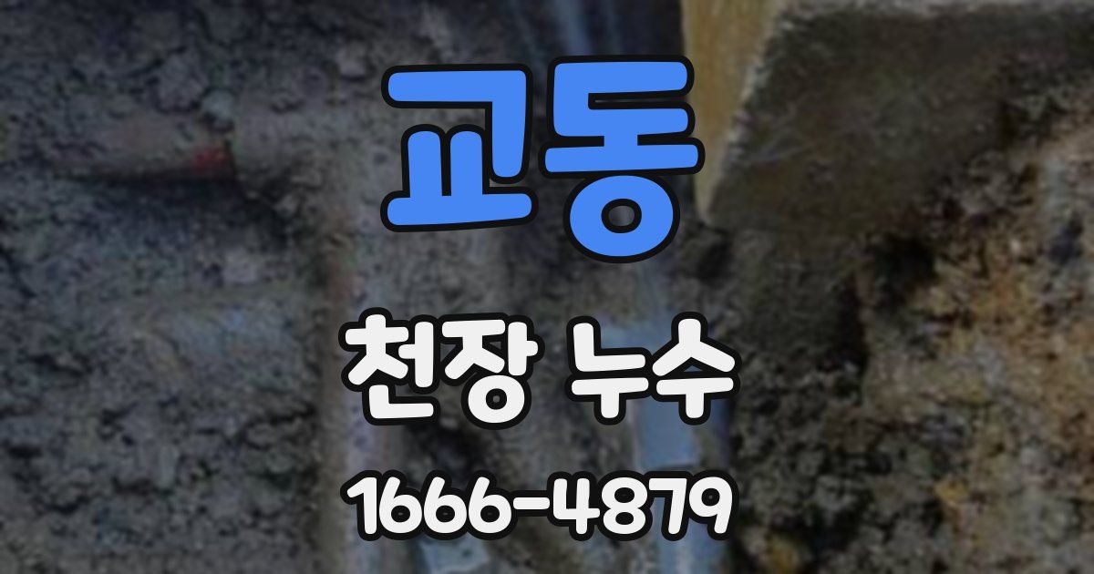 교동 천장 누수