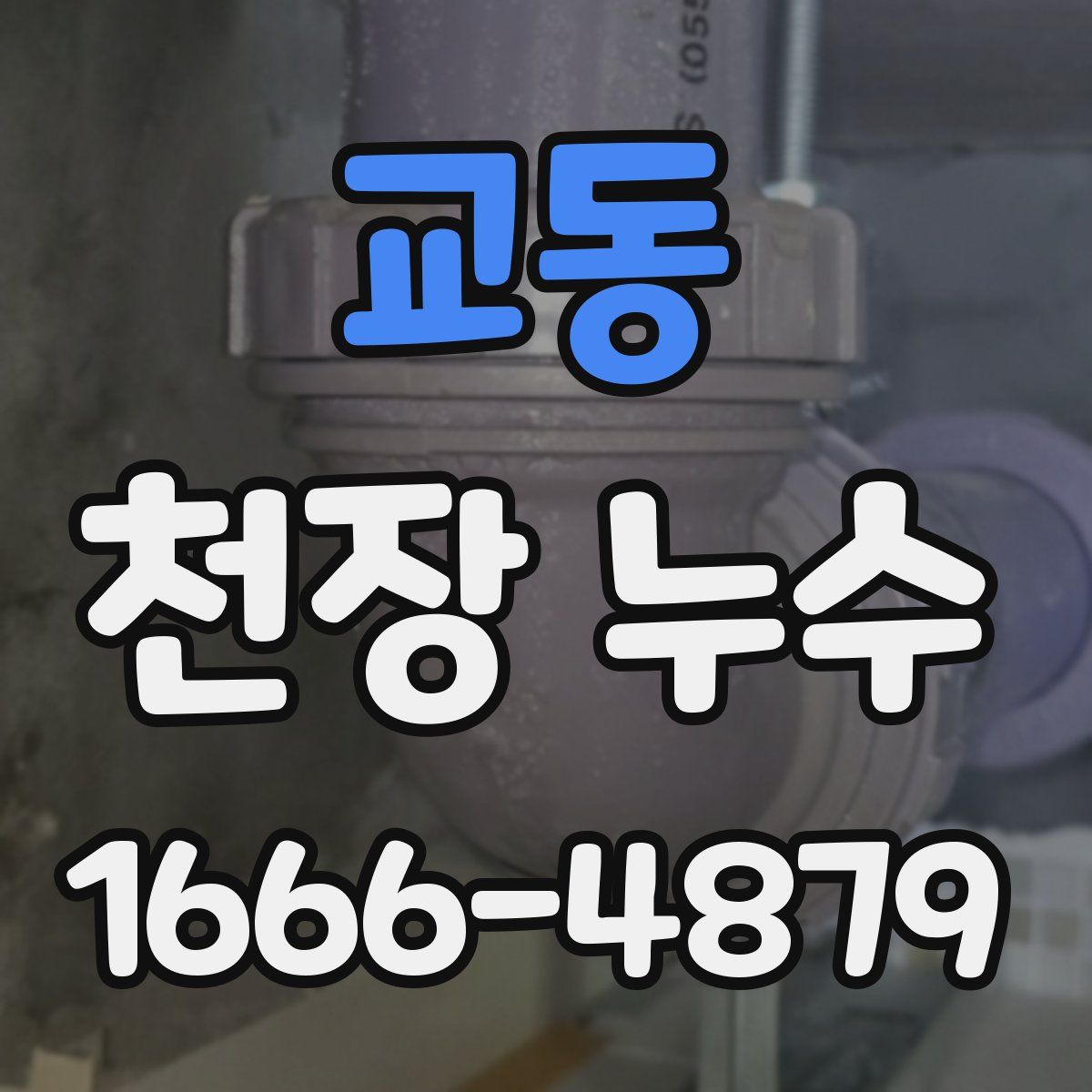 교동 천장 누수