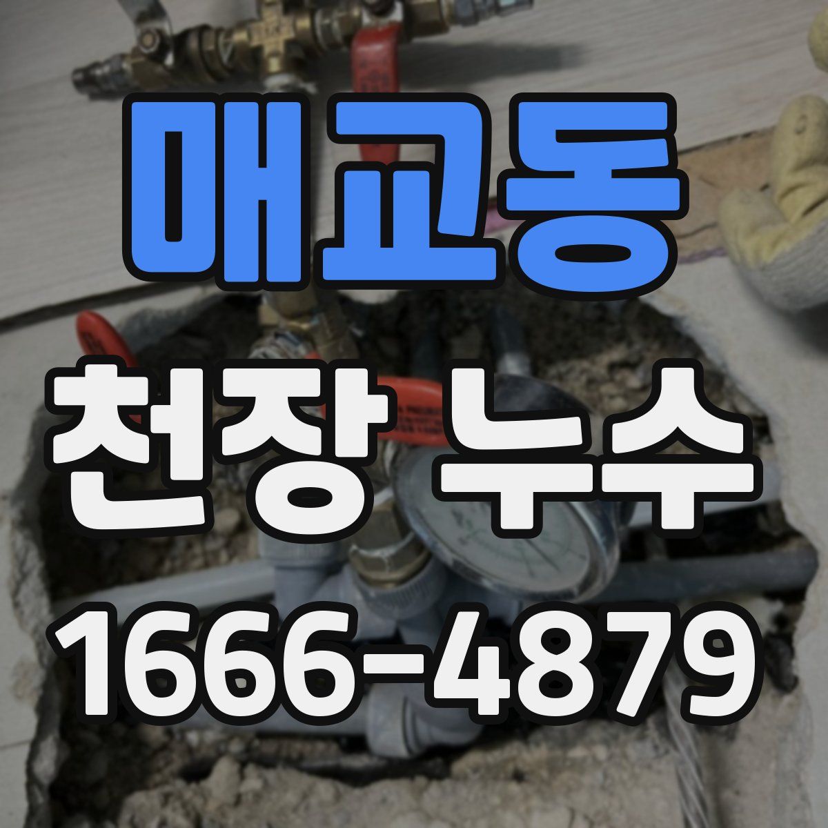 매교동 천장 누수