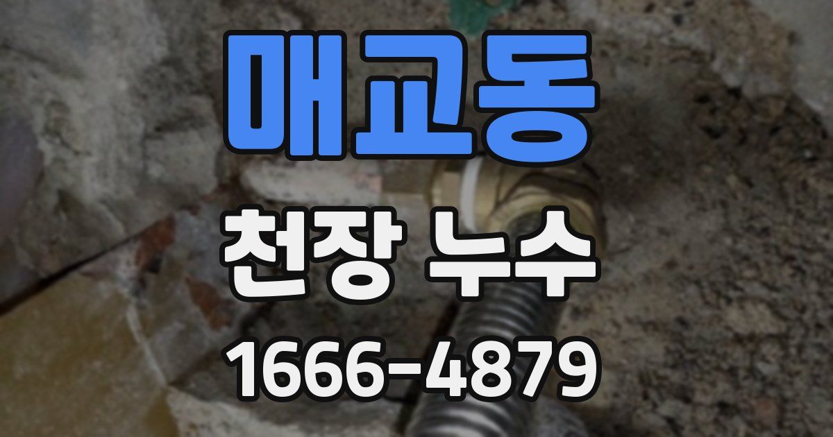 매교동 천장 누수