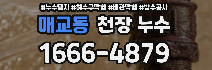 매교동 천장 누수