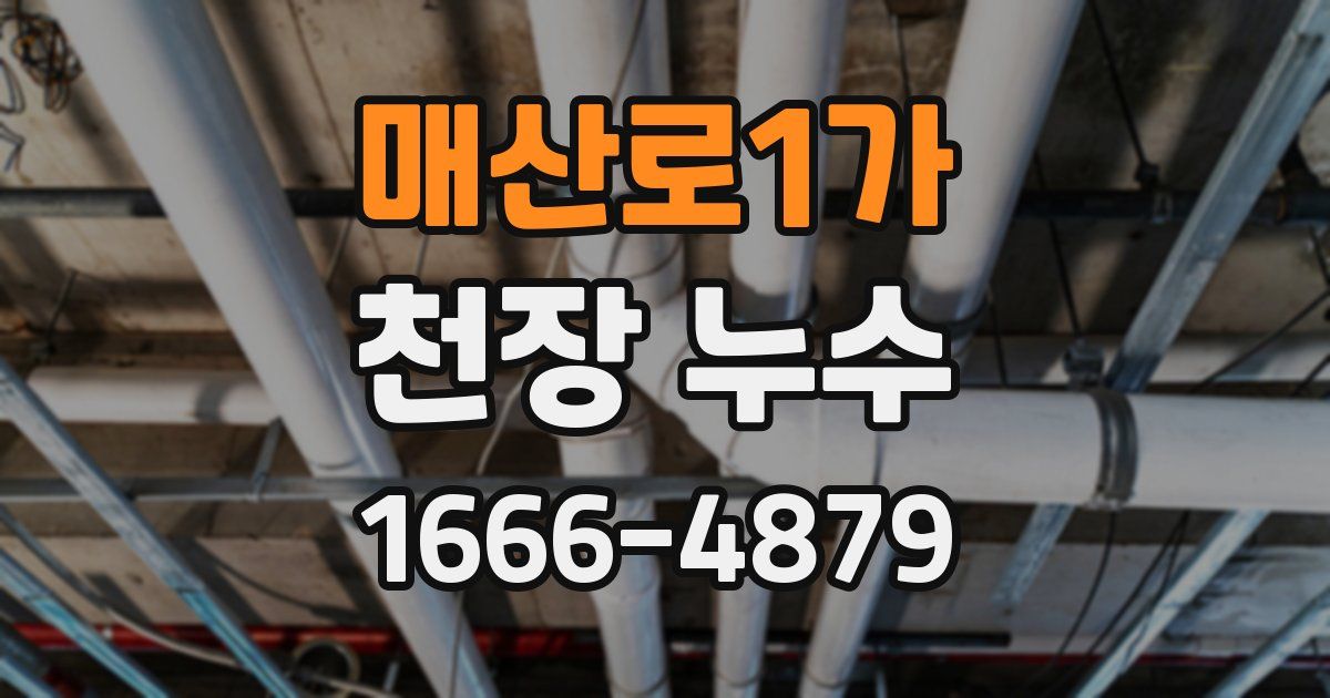 매산로1가 천장 누수