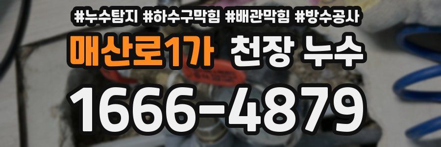 매산로1가 천장 누수
