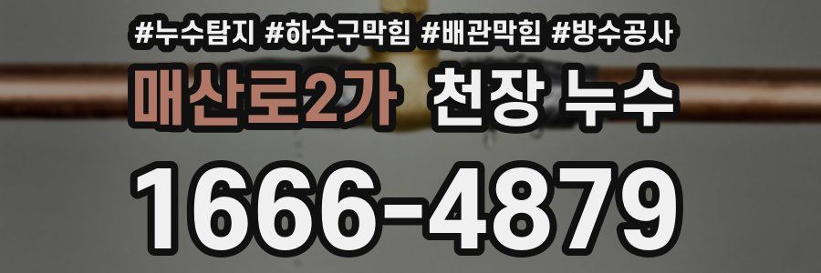 매산로2가 천장 누수
