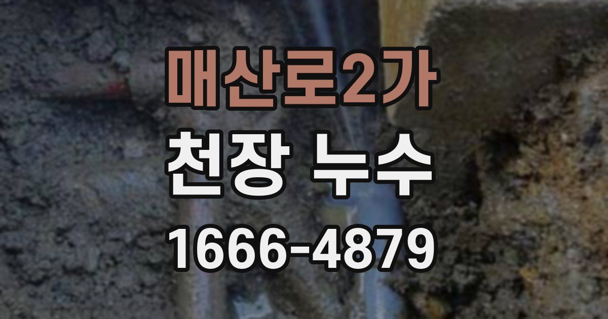 매산로2가 천장 누수