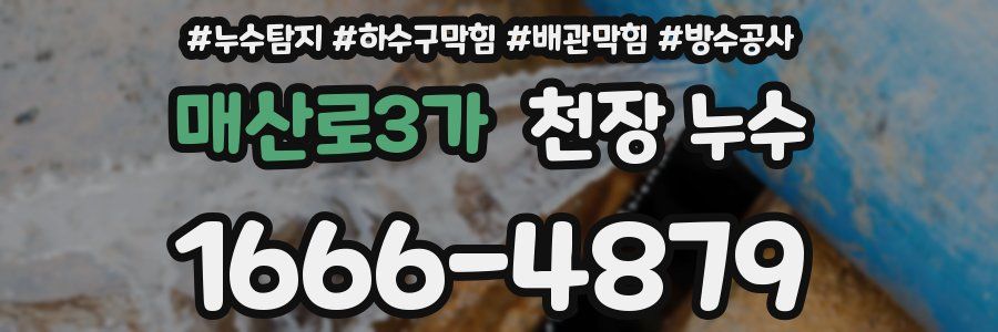 매산로3가 천장 누수