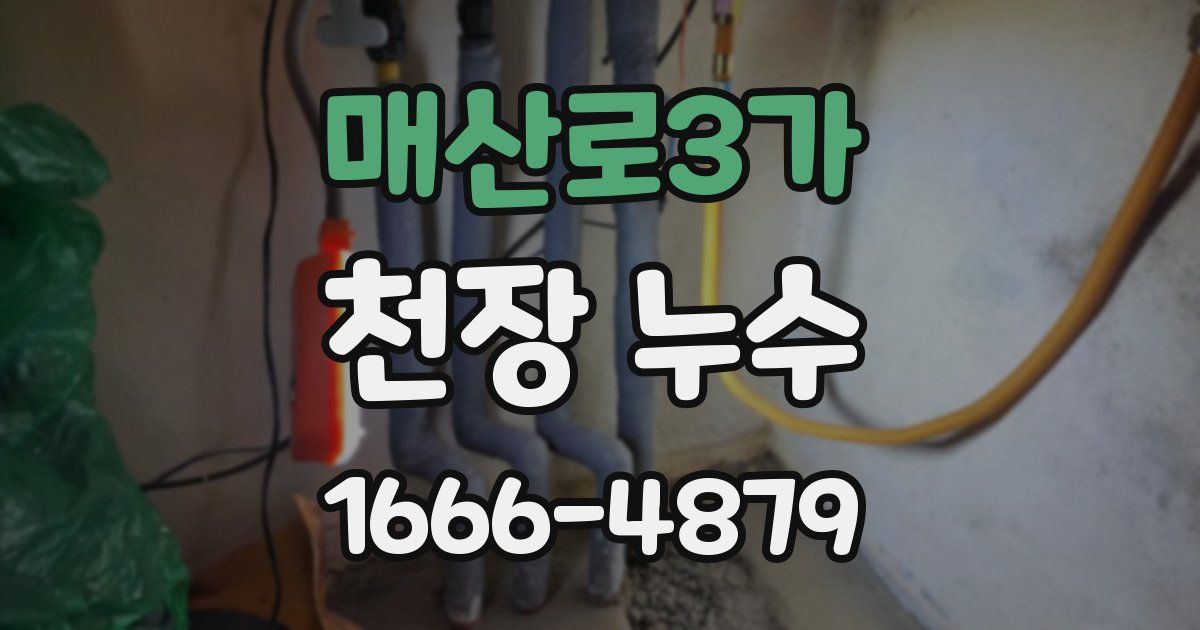 매산로3가 천장 누수