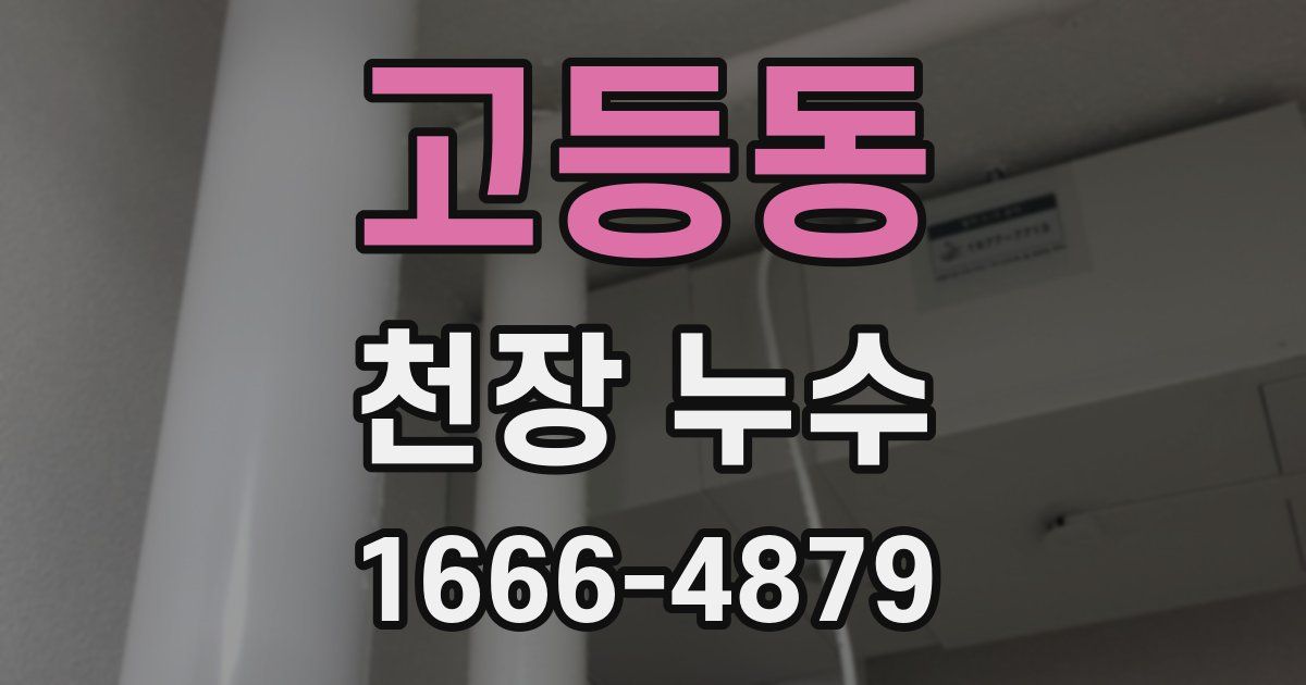 고등동 천장 누수