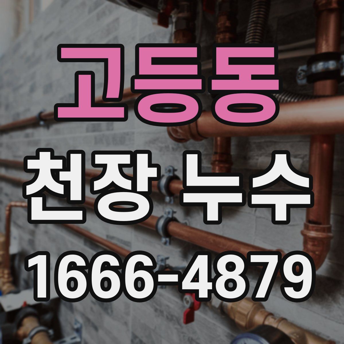 고등동 천장 누수