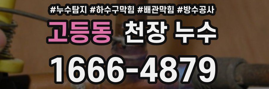 고등동 천장 누수