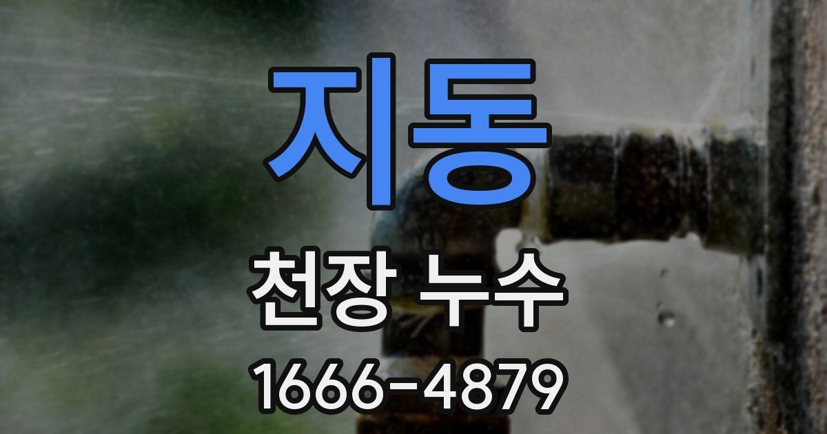 지동 천장 누수
