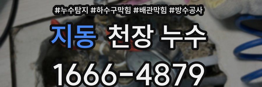 지동 천장 누수