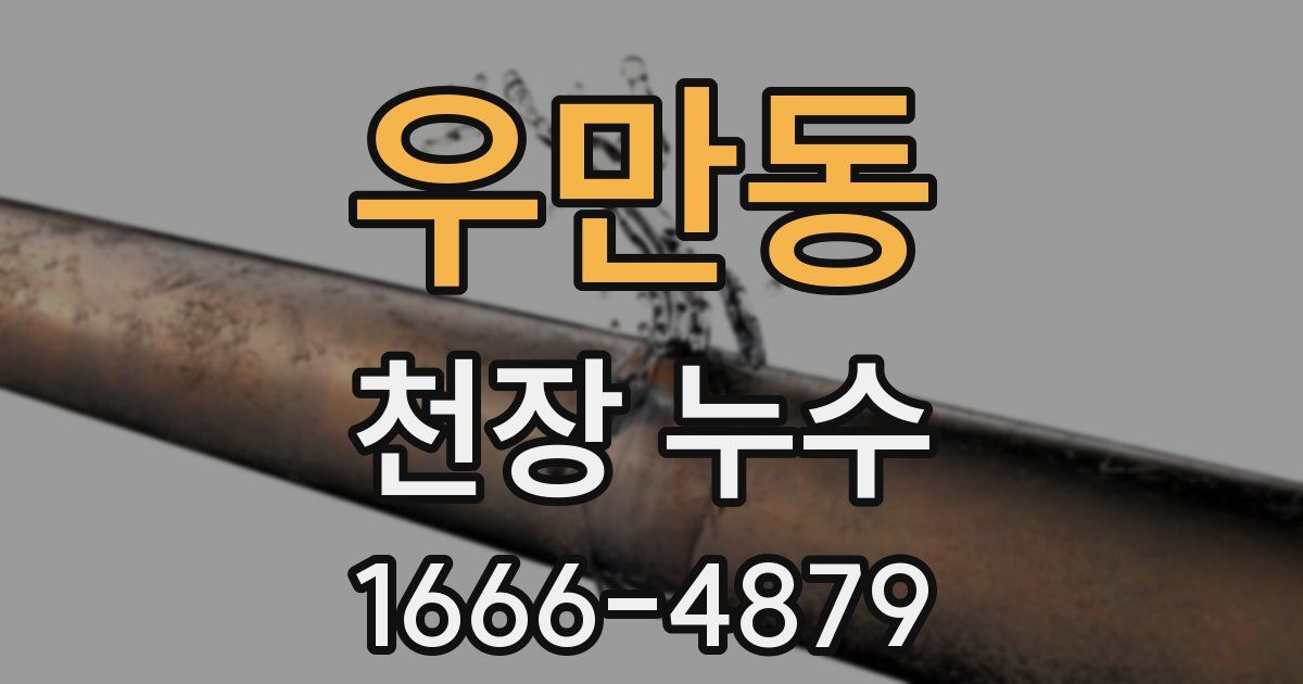 우만동 천장 누수