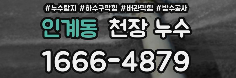 인계동 천장 누수