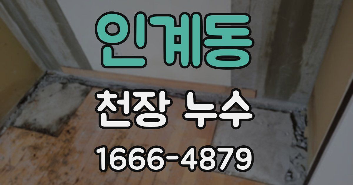 인계동 천장 누수