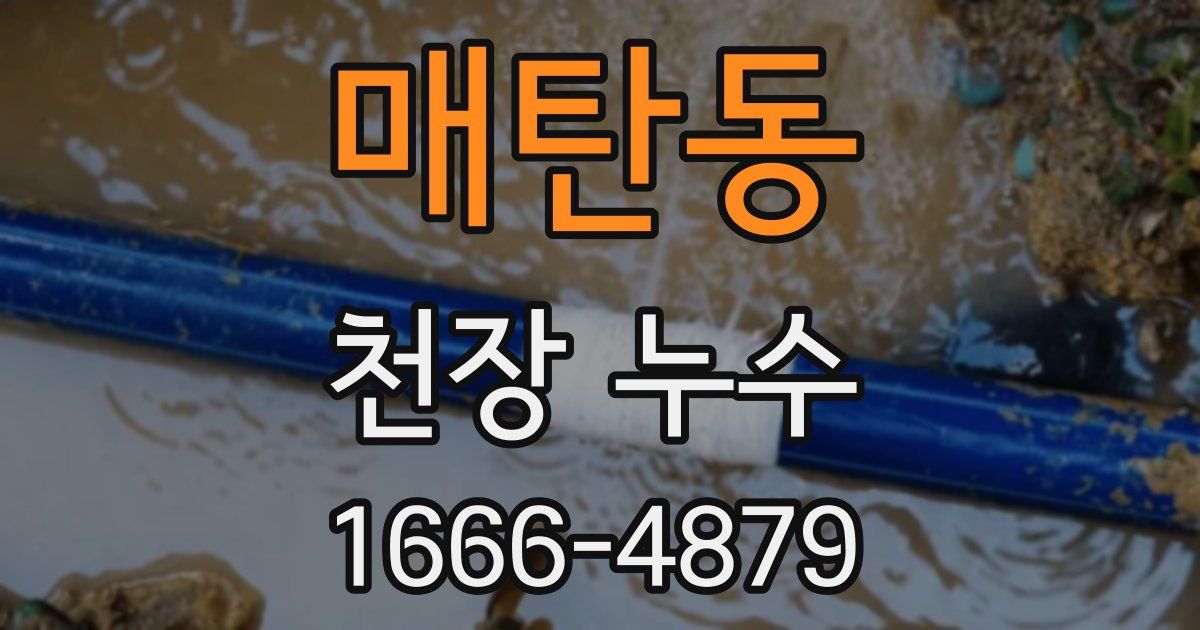 매탄동 천장 누수