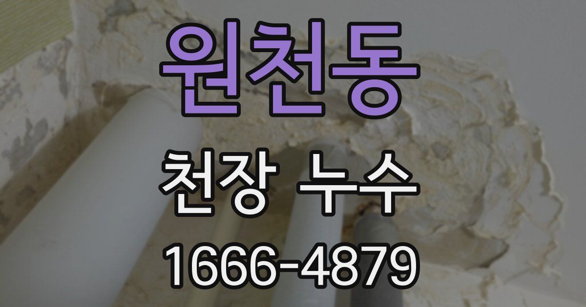 원천동 천장 누수