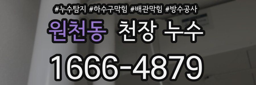 원천동 천장 누수