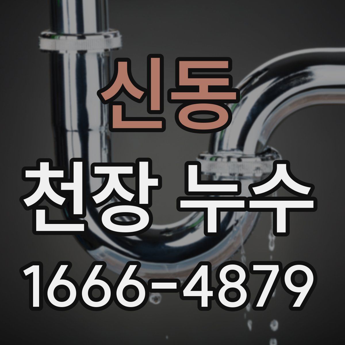 신동 천장 누수