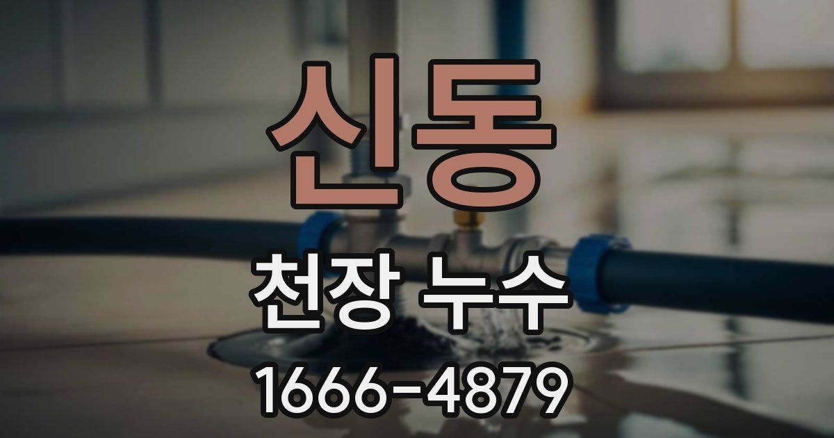 신동 천장 누수