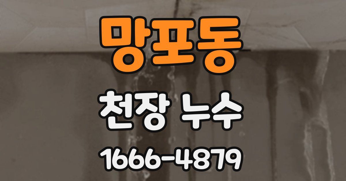 망포동 천장 누수