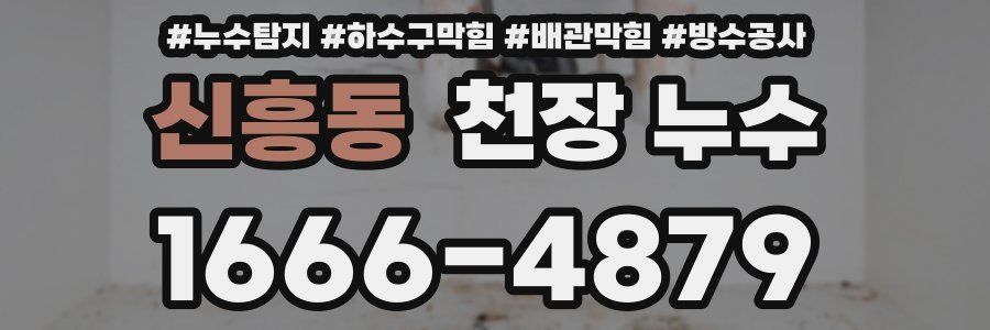 신흥동 천장 누수