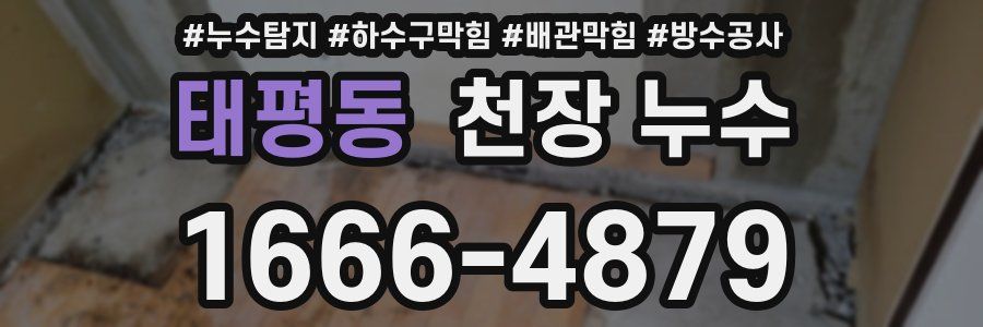 태평동 천장 누수