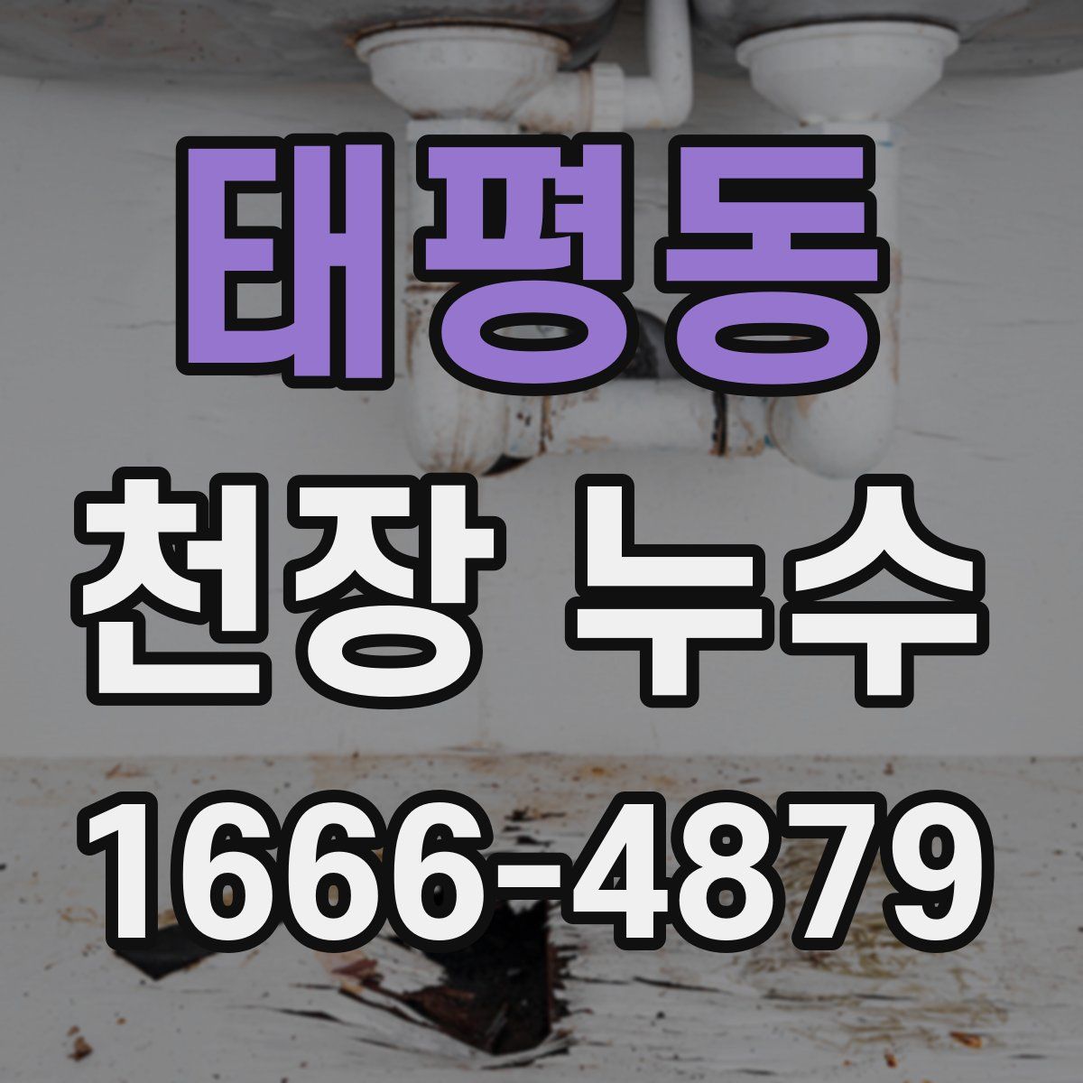 태평동 천장 누수