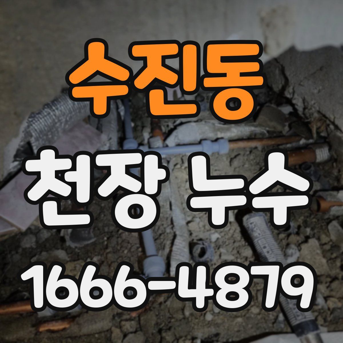 수진동 천장 누수