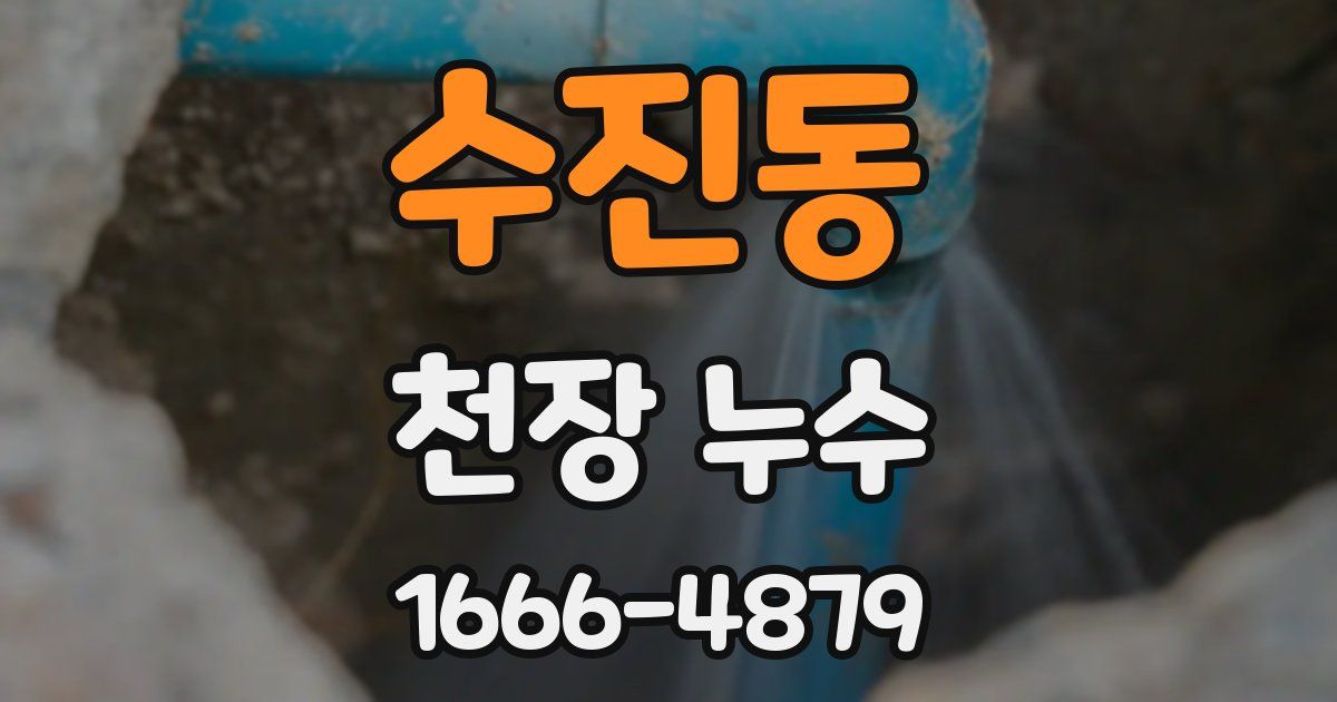 수진동 천장 누수