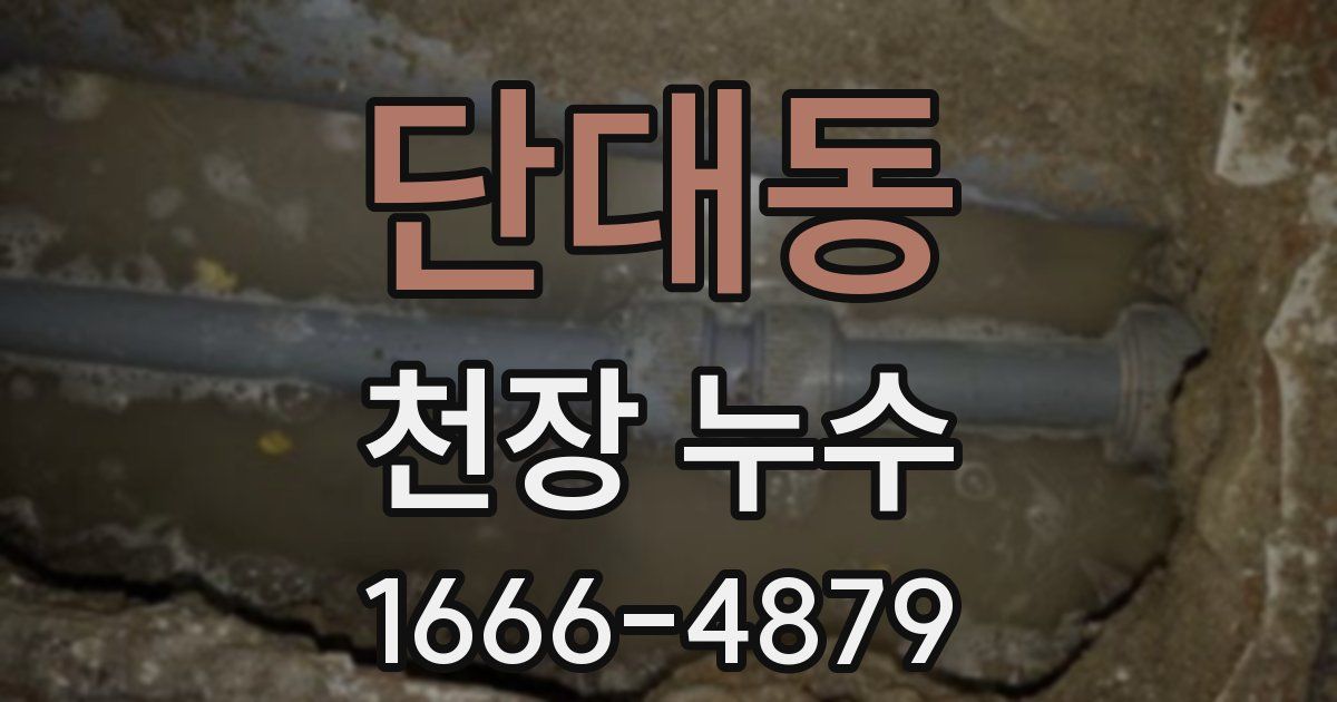 단대동 천장 누수