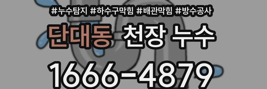 단대동 천장 누수