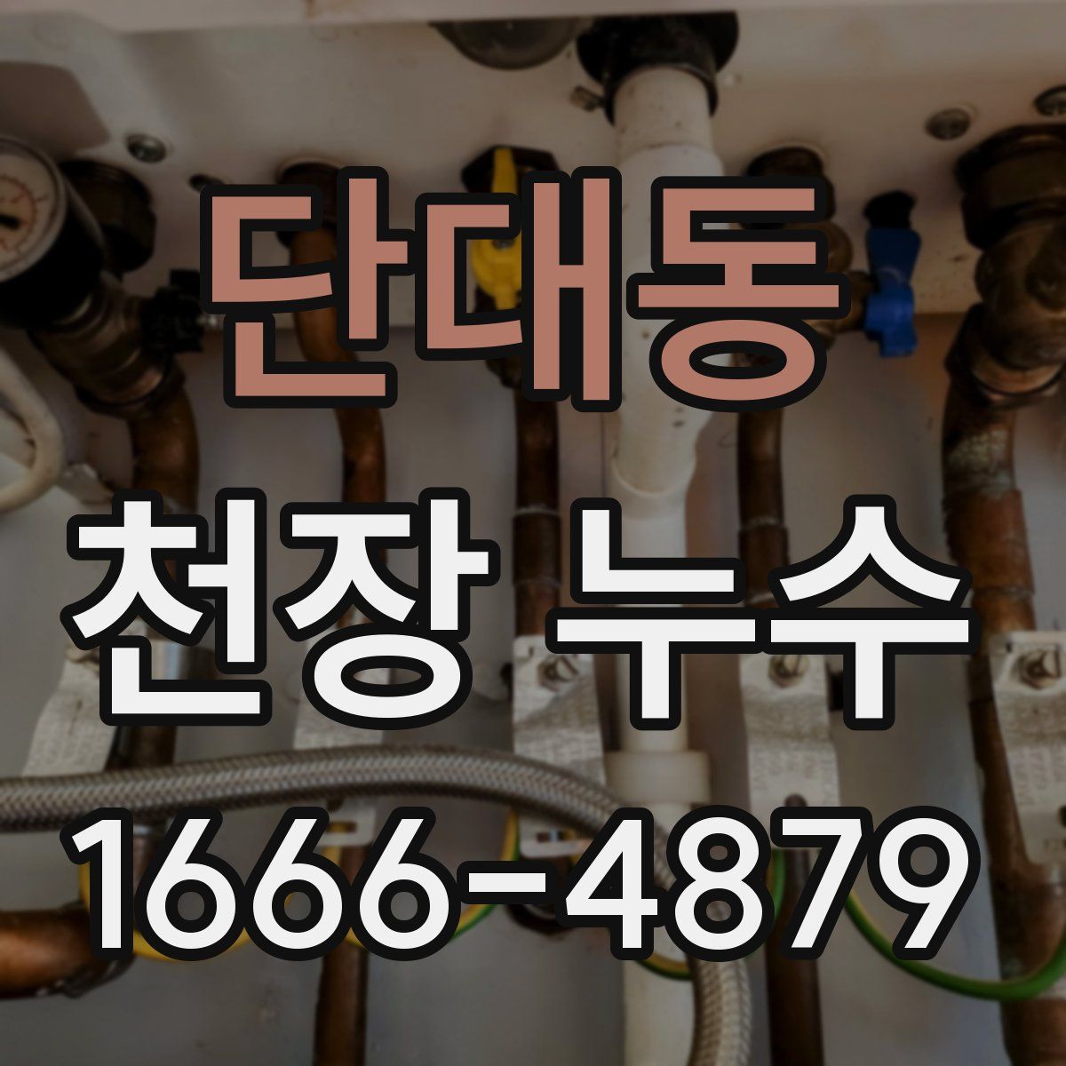 단대동 천장 누수