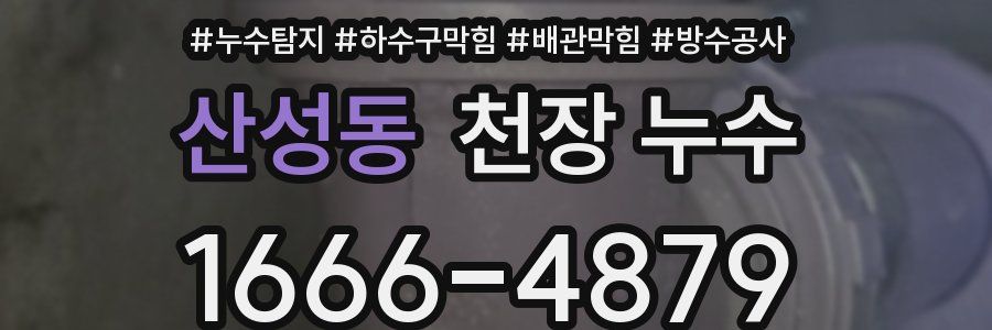 산성동 천장 누수