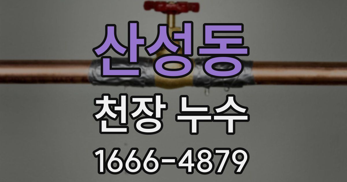 산성동 천장 누수