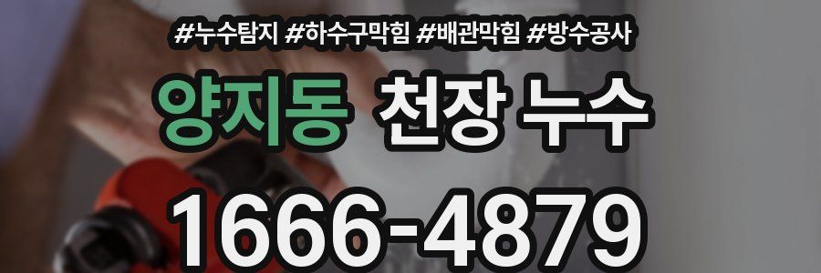 양지동 천장 누수