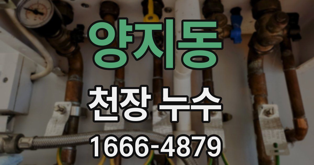 양지동 천장 누수