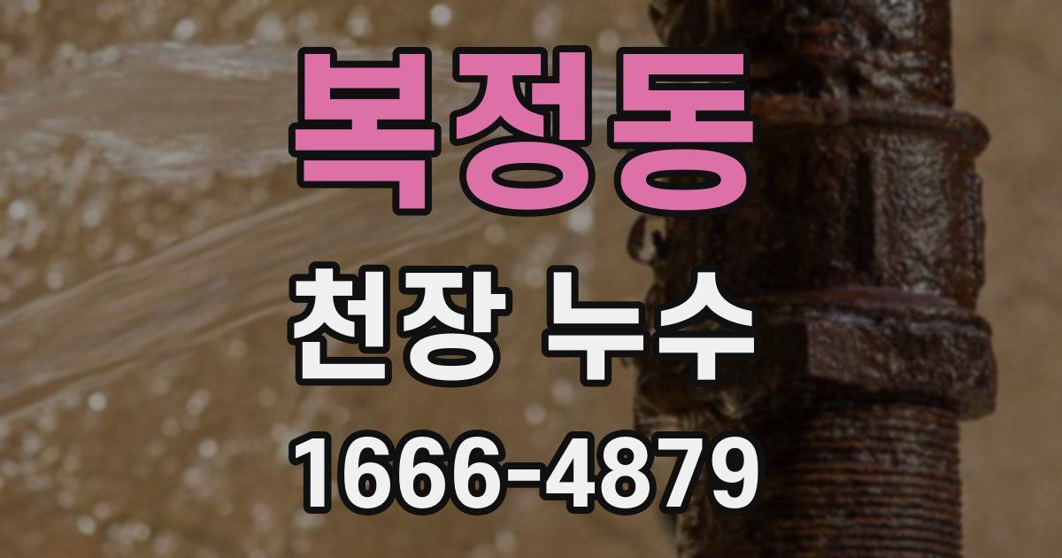 복정동 천장 누수