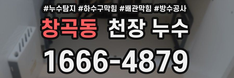 창곡동 천장 누수