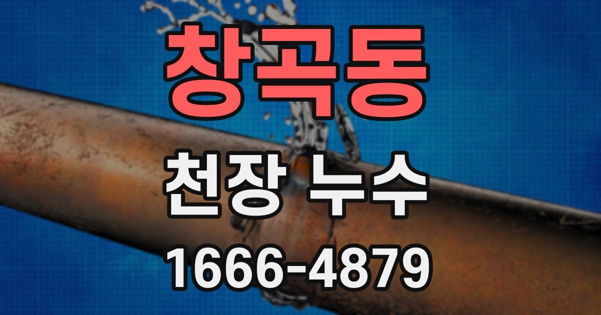 창곡동 천장 누수