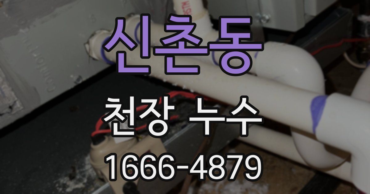 신촌동 천장 누수