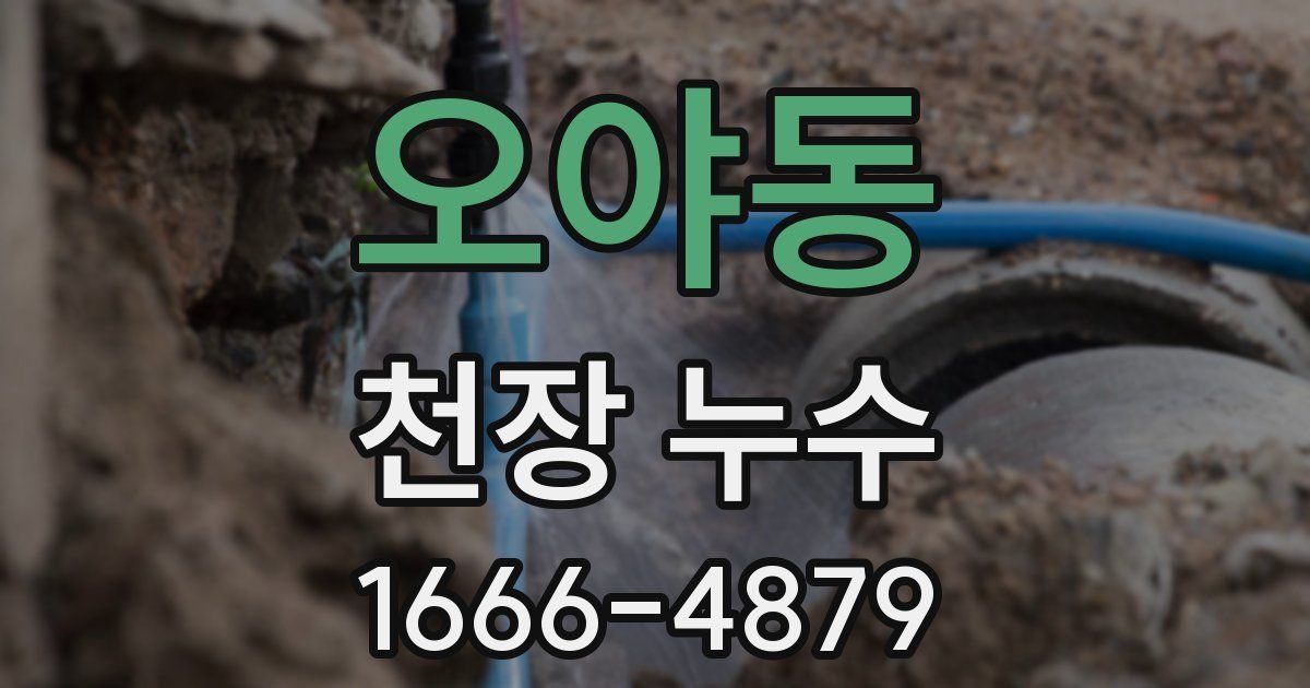 오야동 천장 누수