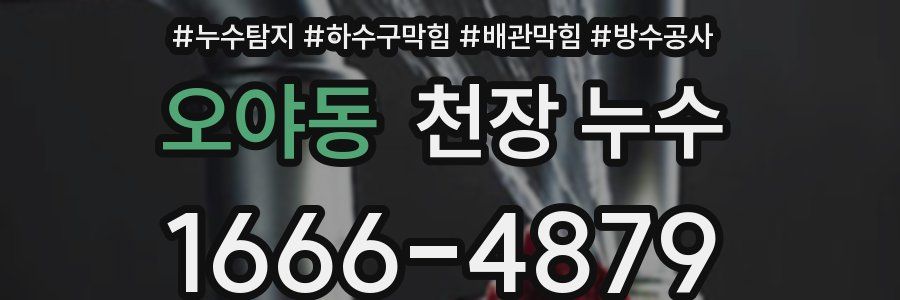 오야동 천장 누수