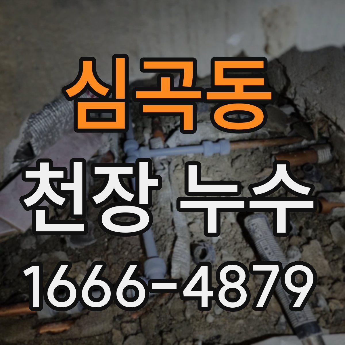 심곡동 천장 누수