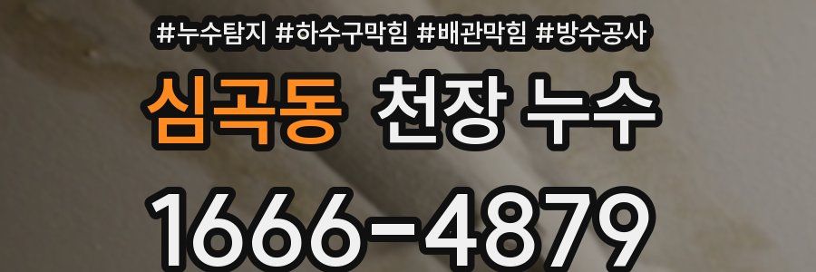 심곡동 천장 누수