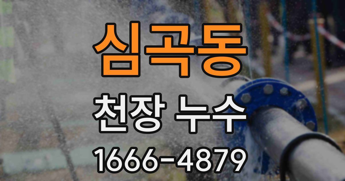 심곡동 천장 누수