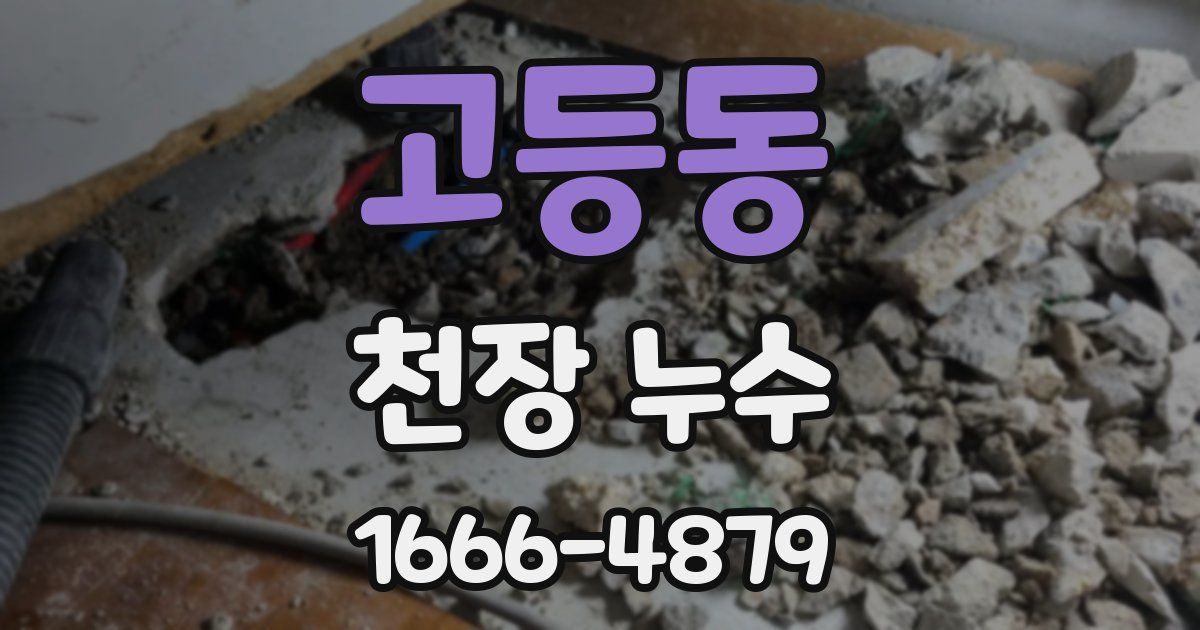 고등동 천장 누수