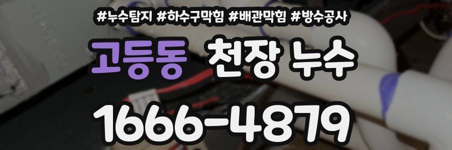 고등동 천장 누수